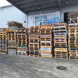 Used Wooden & Plastic Pallet